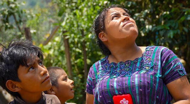 pindigenas indicadores ambientales.jpg